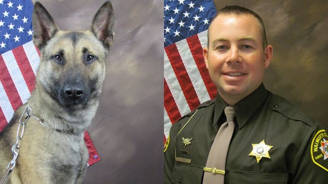 To protect and serve: Walworth County Sheriff's Office welcomes new K-9 team