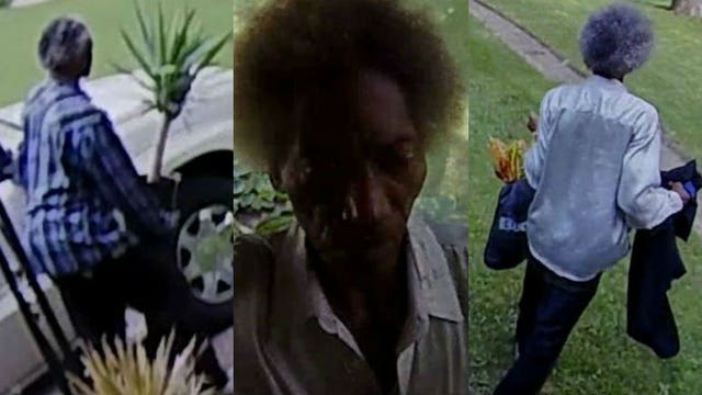 'A lot of nerve!' Man steals potted plants from porch multiple times; incidents caught on camera
