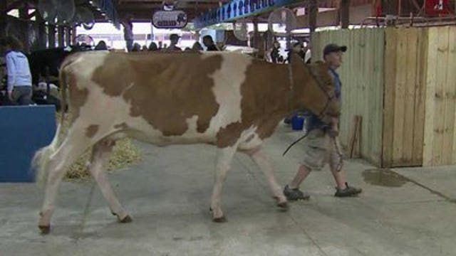 Wisconsin State Fair opens Thursday for 2013 run