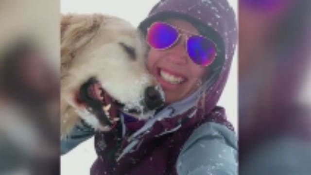 Woman blames United Airlines for dog's death: "When he got (to Portland), he was not the Jacob that was in Detroit"