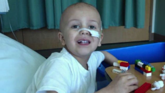 "He's very, very excited:" Make-A-Wish, California company team up to send a sick child to paradise