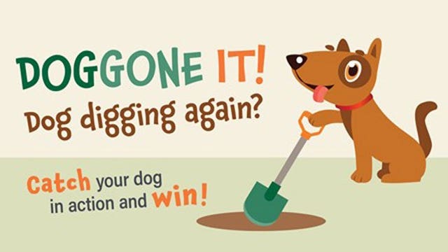 We Energies' Safe Digging campaign is going to the dogs