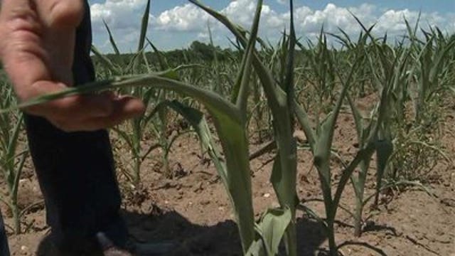 Gov. Walker declares drought emergency in ALL 72 WI counties