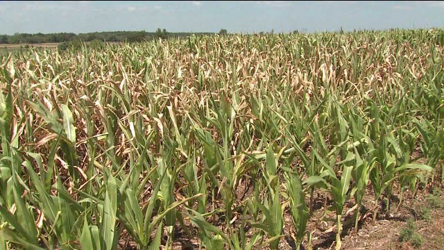 Dems and Republicans tour areas hit hard by drought