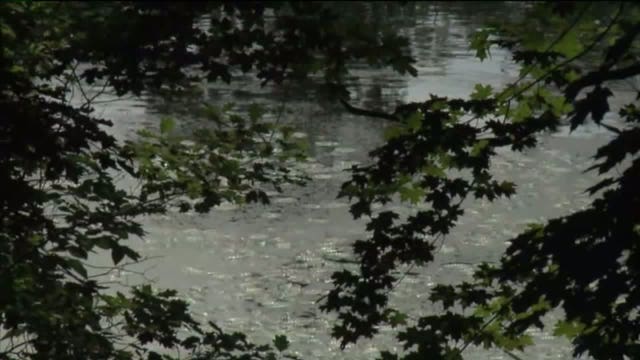 Officials identify 14-year-old Milwaukee boy who drowned on Peters Lake in Town of Troy