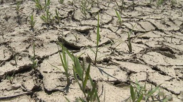 Gov. Walker declares drought emergency in 42 Wis. counties