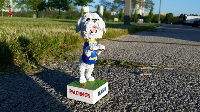 Brewers fans get out of bed early for a scavenger hunt called "Hank and Seek!"