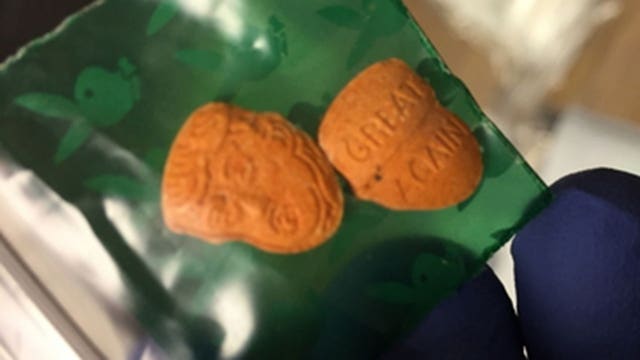 President Trump-shaped ecstasy pills found during Indiana drug bust