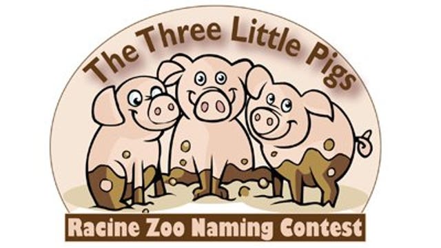 SE Wisconsin helps name three little pigs at Racine Zoo