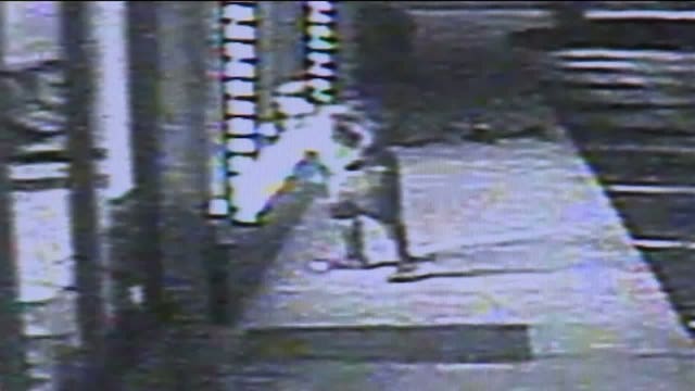 Police forced to utilize pepper spray, K-9, taser in order to take 17-year-old burglary suspect into custody