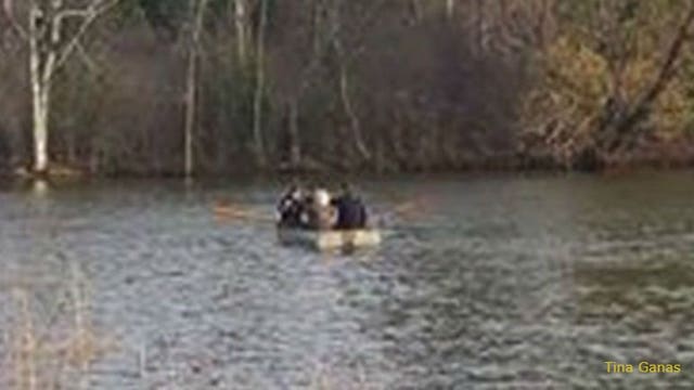 Police arrest boy, 15, who climbed tree at Greenfield Park after being chased by officers