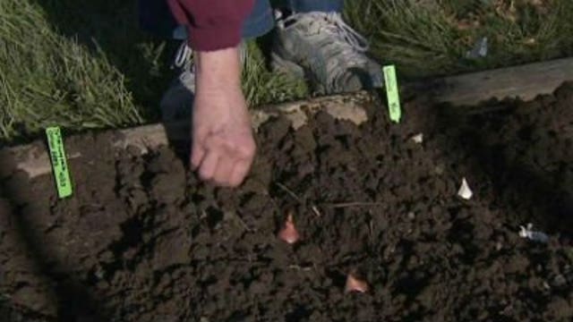 In The Garden: Soil Preparation