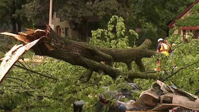 Storms bring down trees in Cedarburg Monday evening