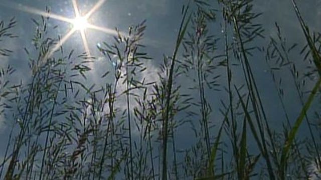 Green Bay area farmer not worried about dry spell yet