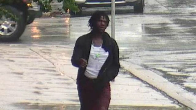 Police release photos of suspected driver in fatal crash near Highland Park