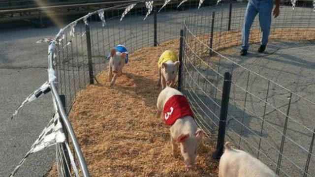 The State Fair beings! Laura gets sneak peek of all the fun hours before the gates open