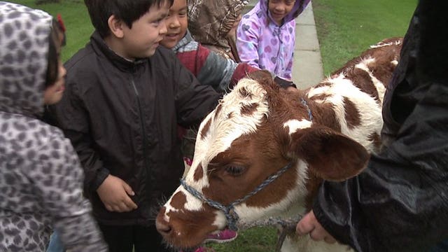 From the classroom to the farm, students take "Learning Journey"