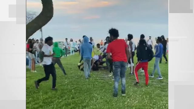 Caught on camera: Fight on lakefront causes concern by officials over social distancing