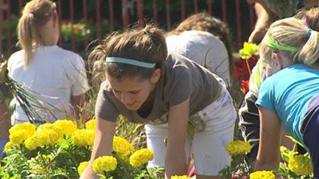 Over 1,000 volunteers chip in during Summerfest's "Planting Day"