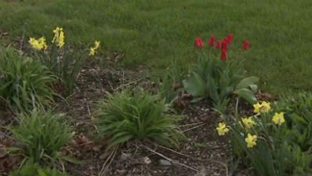 Early spring, early planting