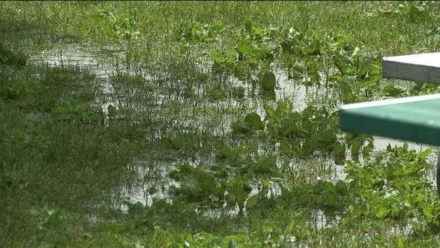 "We'd prefer better weather:" Fiesta Waukesha organizers hope weather holds out for festival