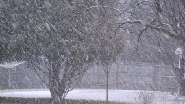 PICTURES: View & share pictures of our March snow storm