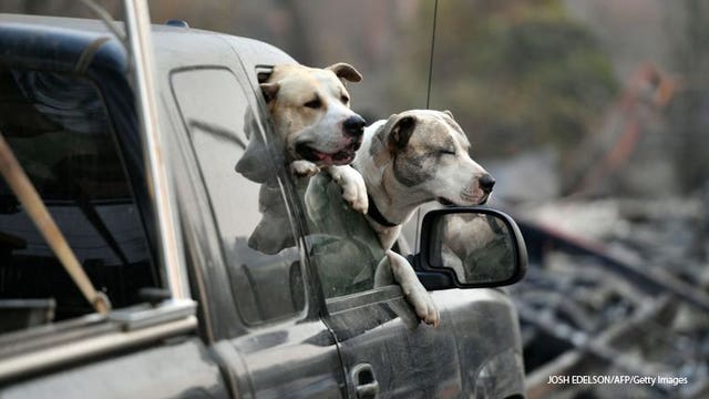 Rain helps nearly extinguish deadly California wildfire