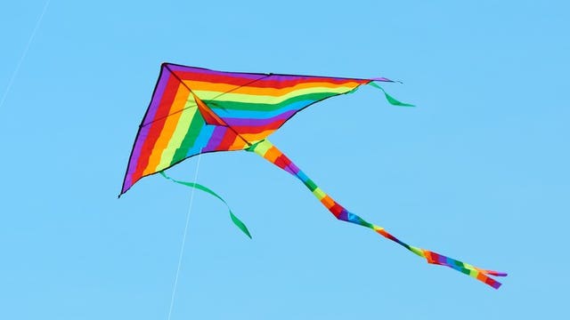 Wilde Subaru Family Kite Festival postponed due to COVID-19: 'Will not be allowed to go forward'