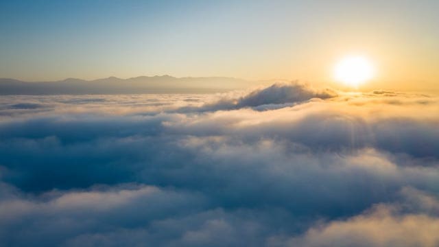 As people stay home due to the coronavirus, Earth turns wilder and cleaner