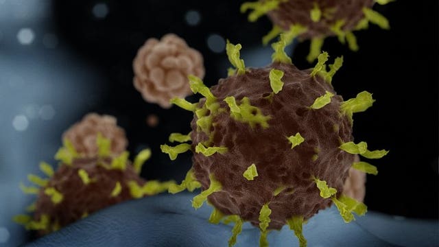 'Viable for long periods:' Tests show coronavirus lives on some surfaces for up to 3 days
