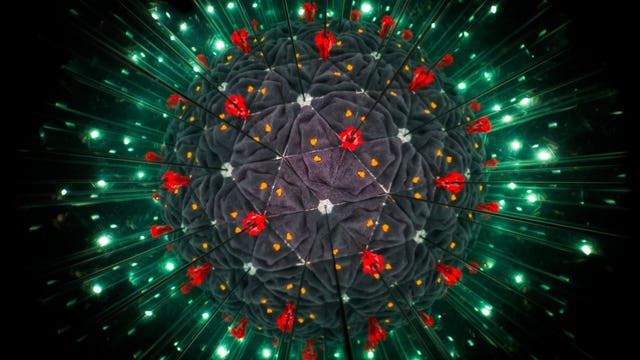 Group condemns racism, violence stemming from coronavirus fears: 'It’s not making sense'