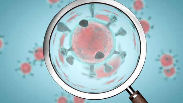 Professionals address mental health impact amid COVID-19 pandemic