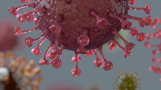 Breast cancer survivor and single mother of 6 dies from coronavirus