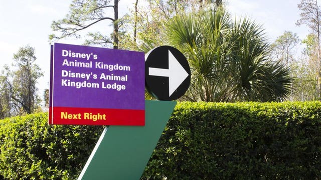 Animals, caretakers at Disney theme park getting TV show