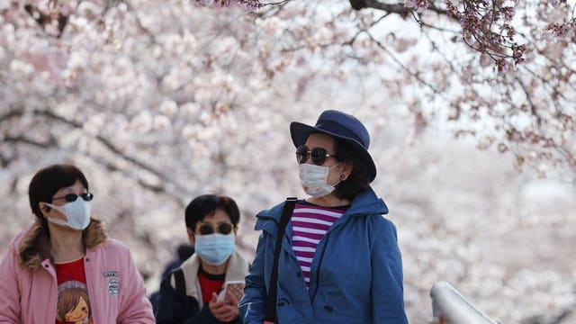 Officials in DC close streets to keep crowds away as cherry blossoms bloom
