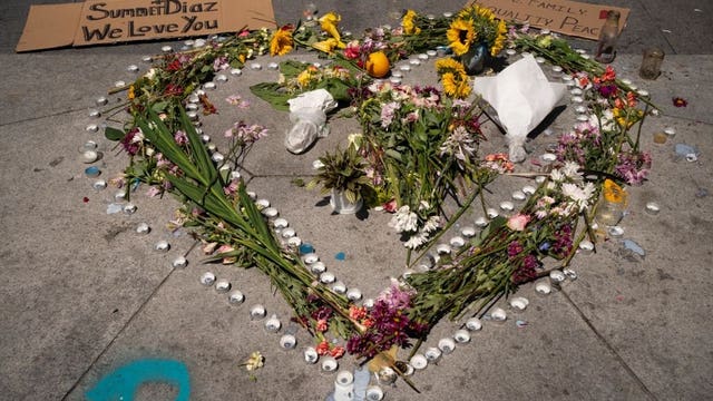 Protester killed on Seattle freeway was dedicated to cause