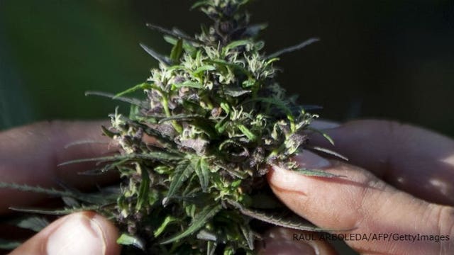 LA will become largest US city with recreational pot