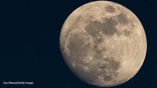 Bag laced with moon dust sells for $1.8 million at Sotheby's