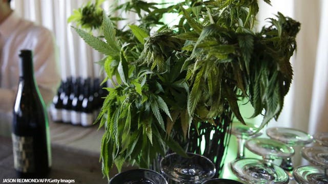 California gets ready to ignite cannabis culinary-arts scene