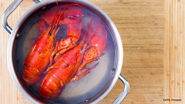 China threatens tariffs on US lobsters as business booms