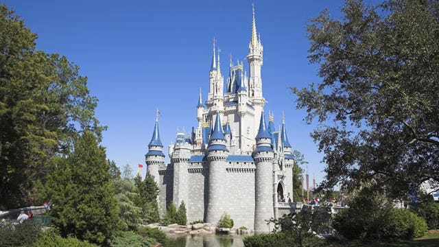 Disney World reopens as coronavirus cases surge in Florida