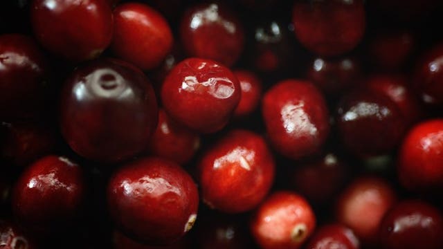 'Tradition since 1980:' Eagle River Cranberry Fest canceled in 2020 amid pandemic