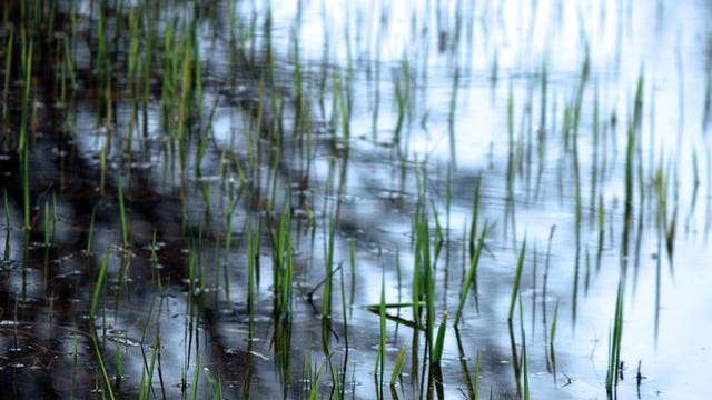 Gov. Evers proposes flood bills even though Assembly is done until 2021