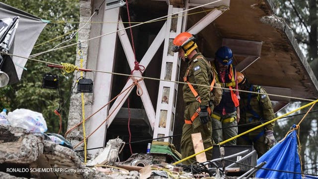 Small dog rescued alive from earthquake rubble in Mexico