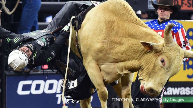 'We're thrilled:' Professional Bull Riders bring 'Toughest Sport on Dirt' to new Bucks' arena in October