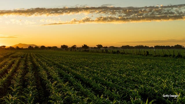 $50M to Wisconsin farmers, agriculture from fed COVID relief funding