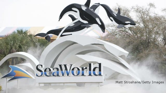 SeaWorld furloughs 90% of workers because of virus crisis