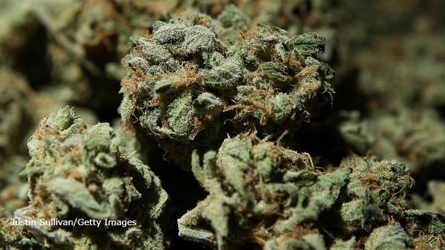 Bill requiring prosecutors to erase old pot convictions awaits governor's signature in California