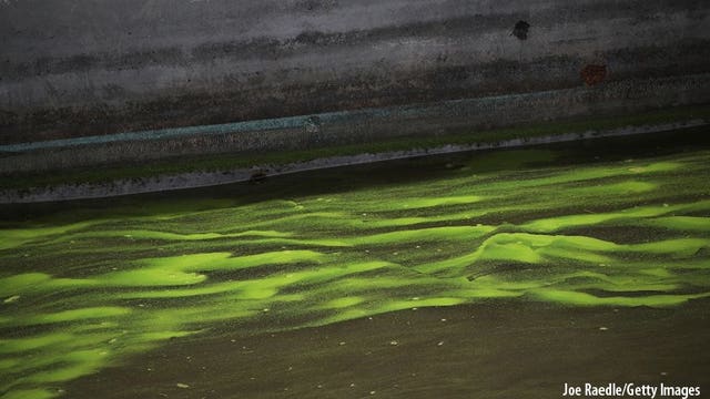 Backlog of toxic 'Superfund' clean-ups grows under Trump administration