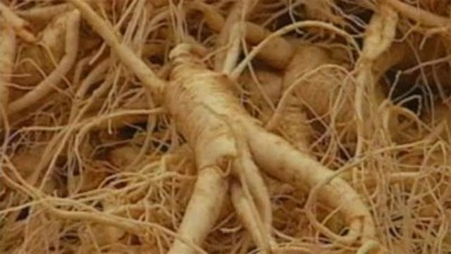 Gov. Walker seeks disaster designation after ginseng losses